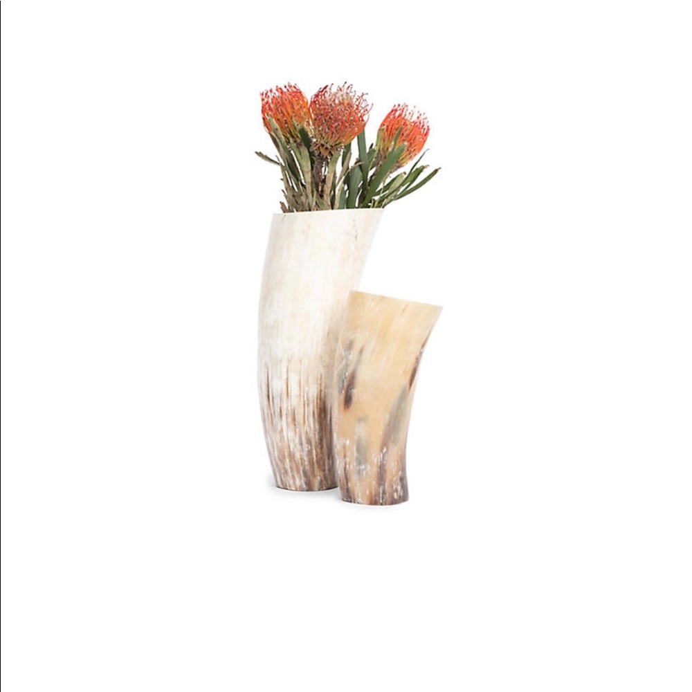 African Cow Horn Vase- Small